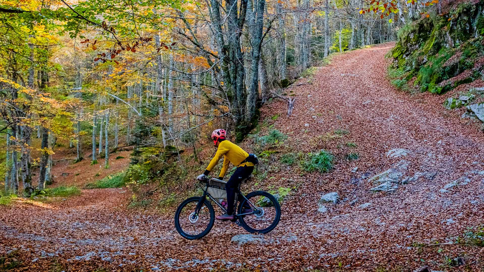 Petits Sacs Bikepacking