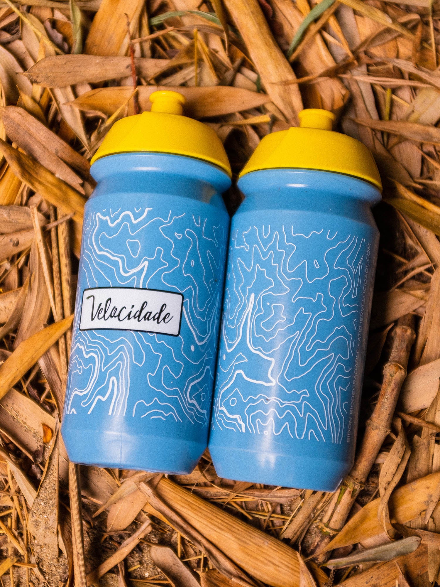 Bidon Biodégradable (500ml) Bleu Acier, 2 Bidons