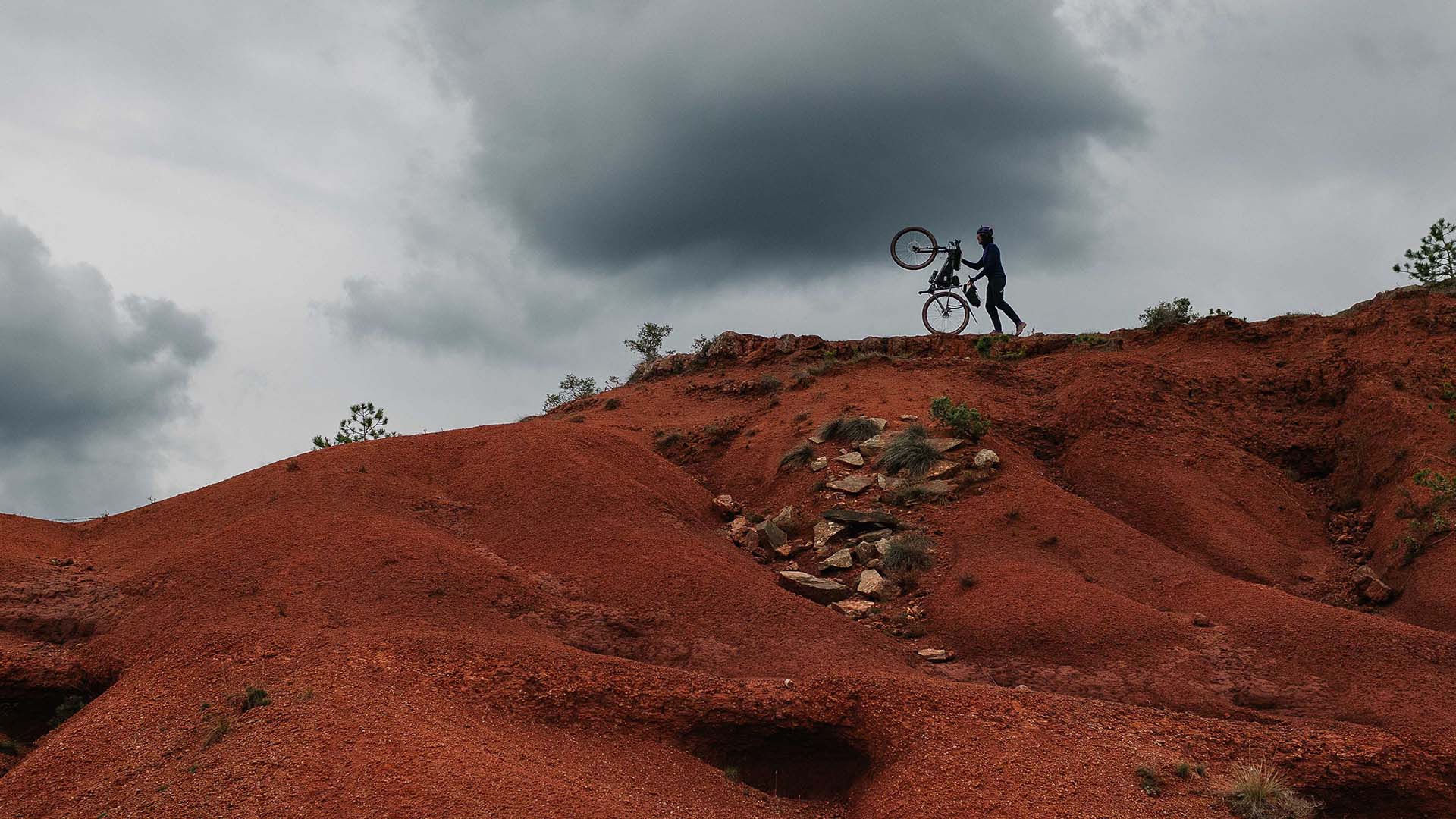 The Goats