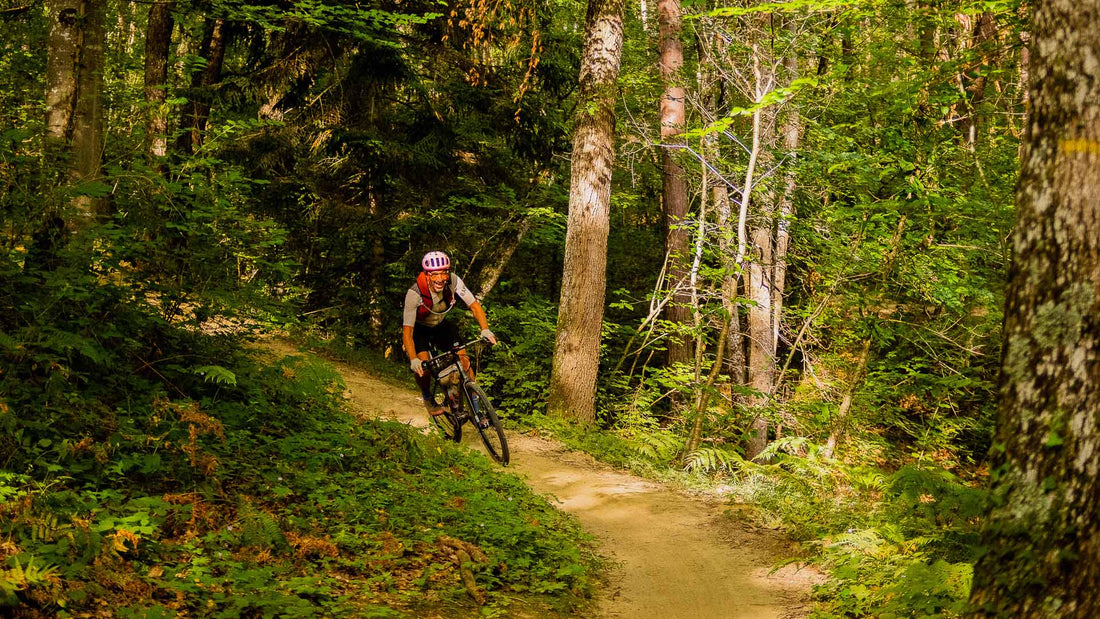 Un petit bivouac estival