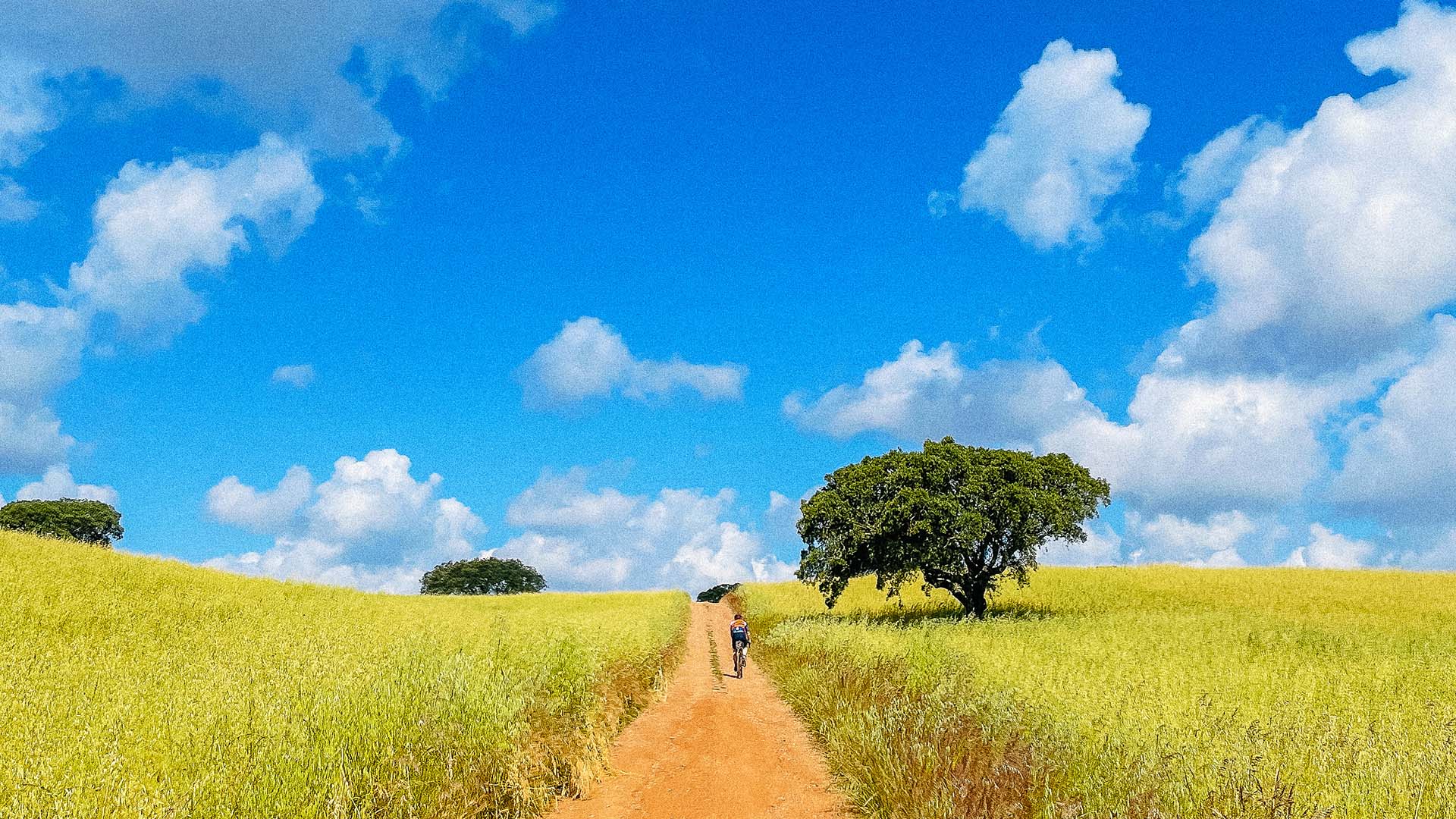 Gravel Birds 2025 : une expérience inoubliable