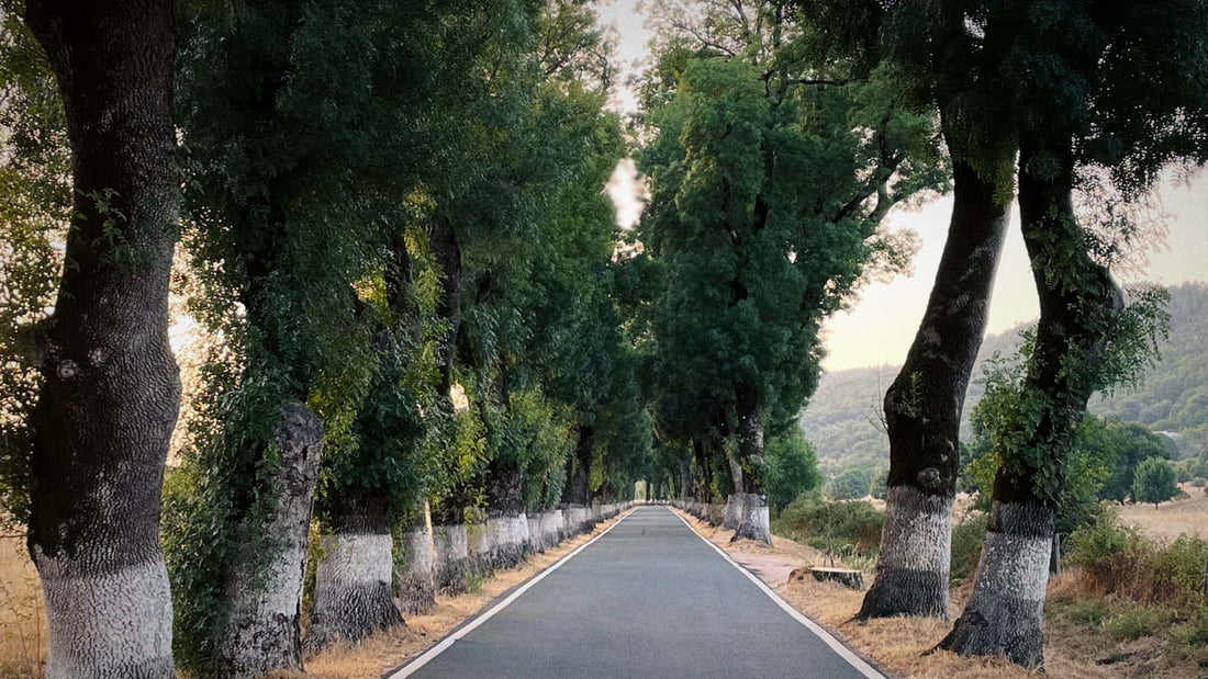 nous voilà de retour à l’atelier