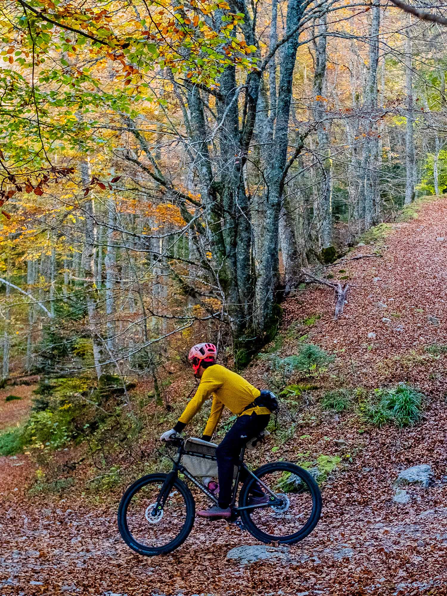 Atelier Velocidade