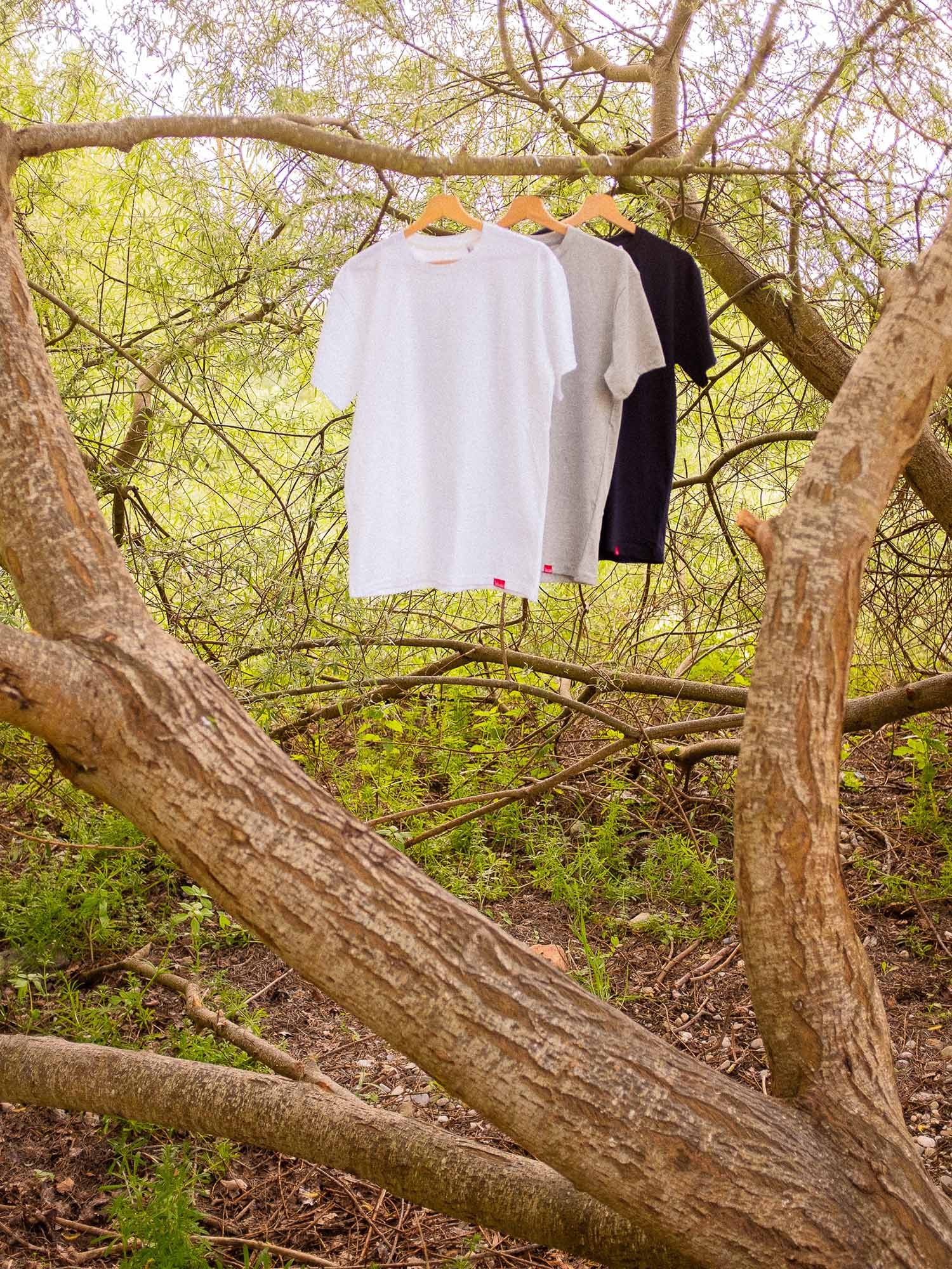Tshirt Made in France